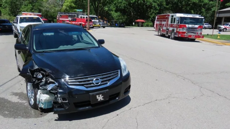 img_8767_copy_1000x563