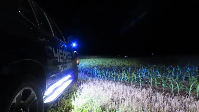 img_8772_copy_1000x563