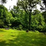 053125-mcridley-5