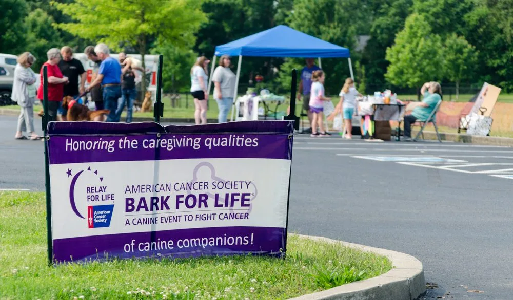 wireready_05-31-2025-23-45-09_a116_20250531234050526-7