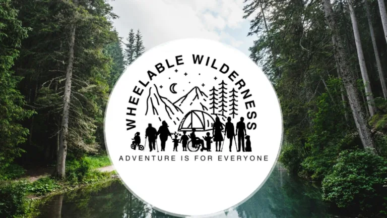 wireready_06-04-2025-02-40-53_a116_20250604023831199-7