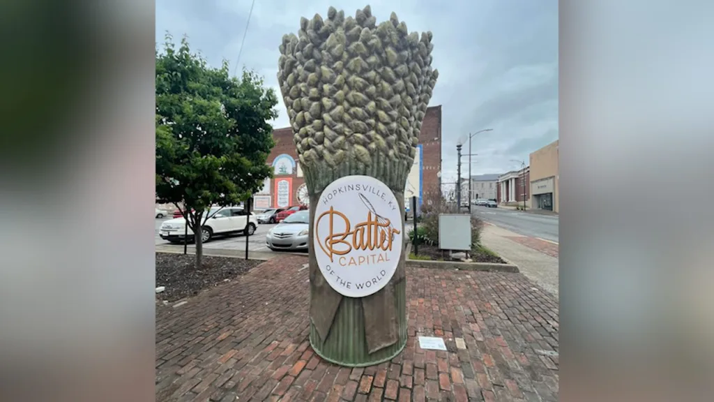 wireready_06-06-2025-01-05-07_a116_20250606010328105-5