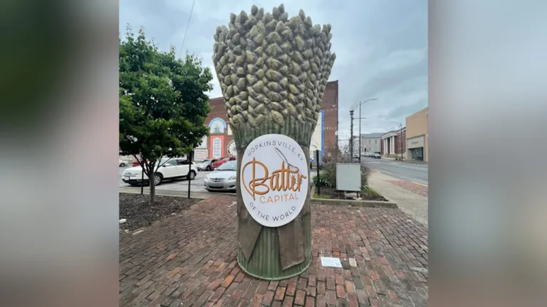 wireready_06-06-2025-01-05-07_a116_20250606010328105-5