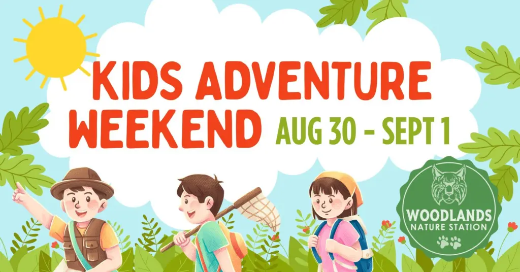 481068737_962800255976952_3095297790963676532_n