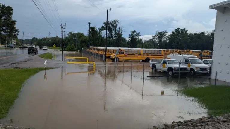 pxl_20250628_190637336-mp_copy_1000x563