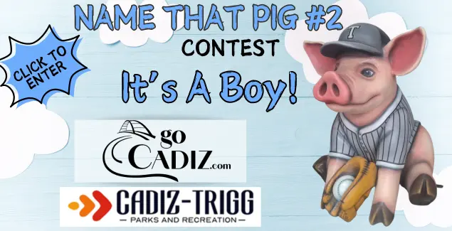 name-that-pig-contest-slider-635-x-325-px-3