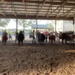 photo-jul-10-2025-6-29-15-pm