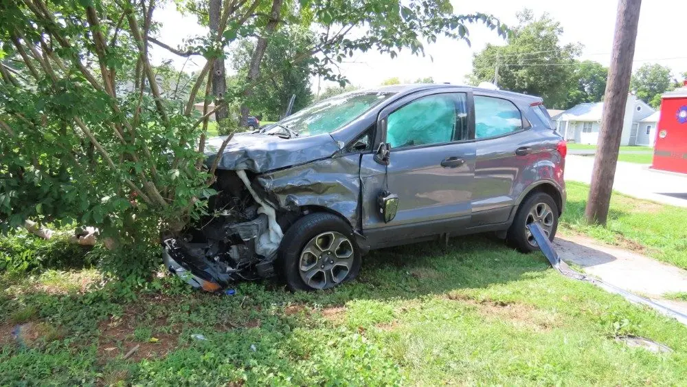 img_9011_copy_1000x563_1