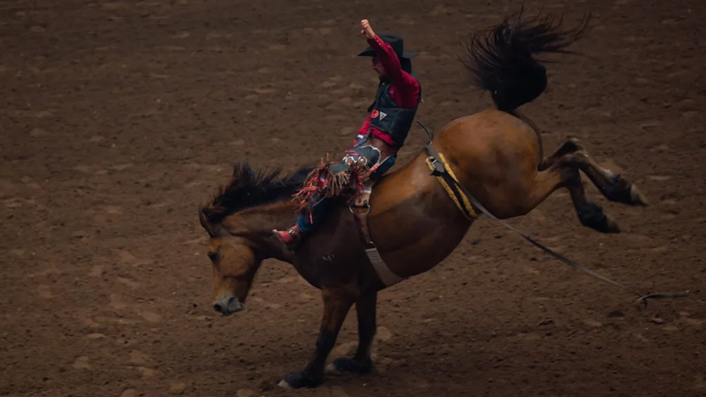 wireready_07-16-2025-02-20-08_a116_20250716021511347-7