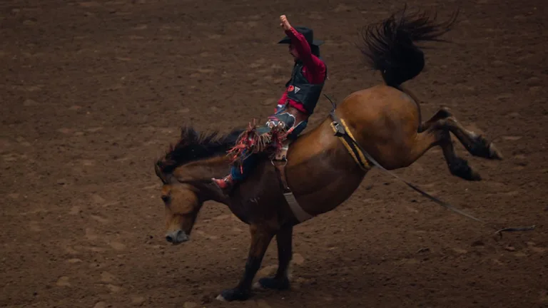 wireready_07-16-2025-02-20-08_a116_20250716021511347-7