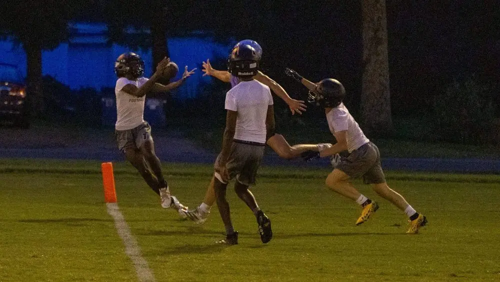 dsc00186-e1752900204675530307