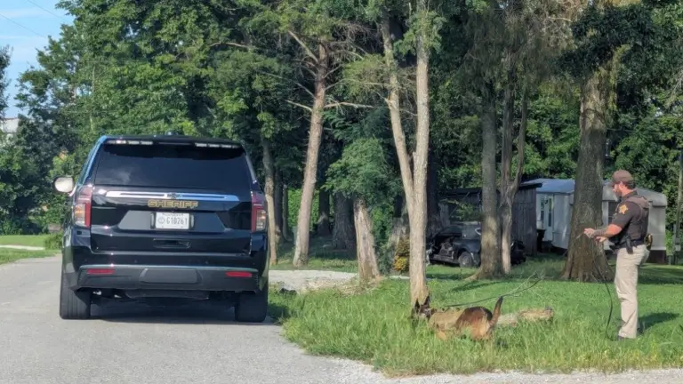 pxl_20250726_221820034-mp_copy_1000x563