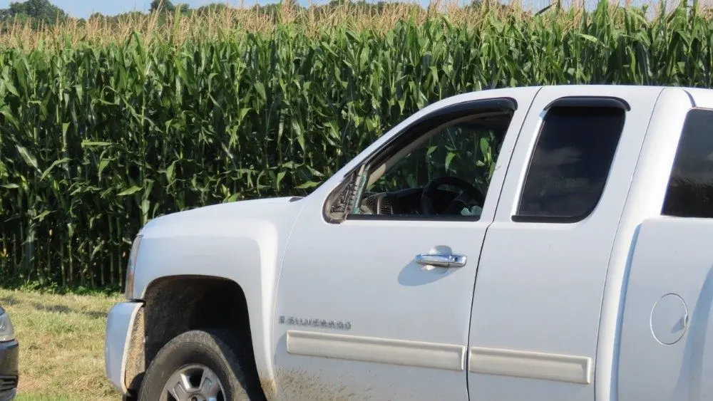 img_9073_copy_1000x563