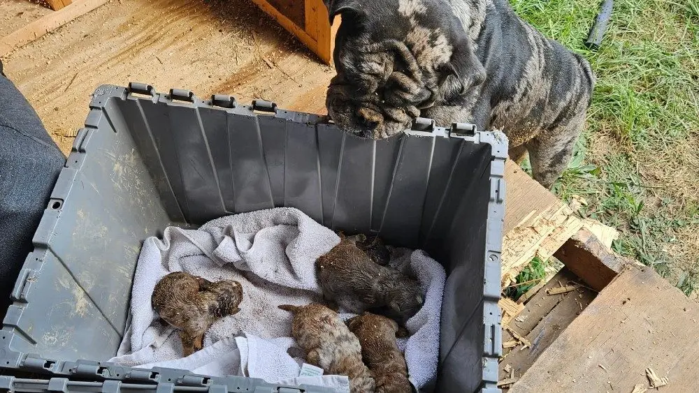 fb_img_1754149463845