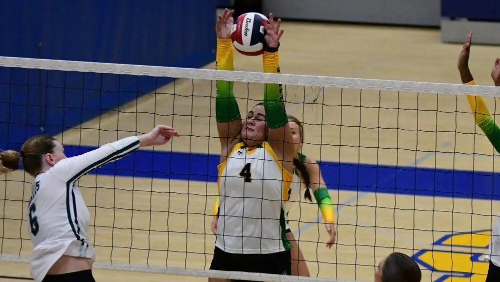 dsc_3621_cropped442399