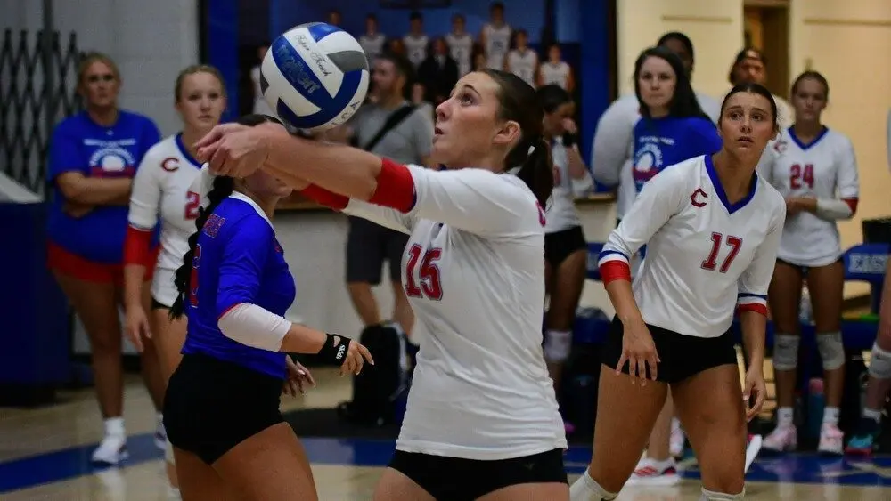 dsc_3536_cropped591549