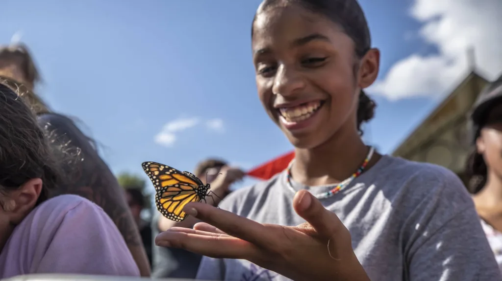 080425-butterfly-festival-1