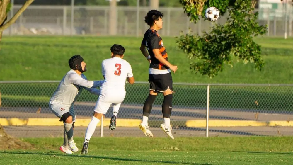 dsc01219-e1754370226253411835