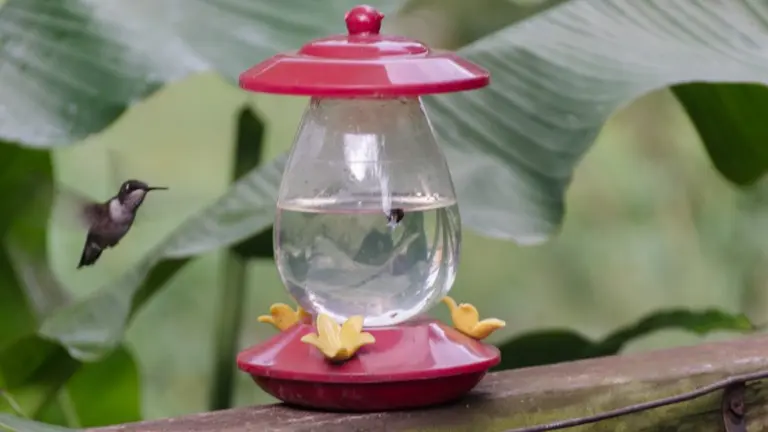 wireready_08-06-2025-05-00-15_a116_20250806045943097-8