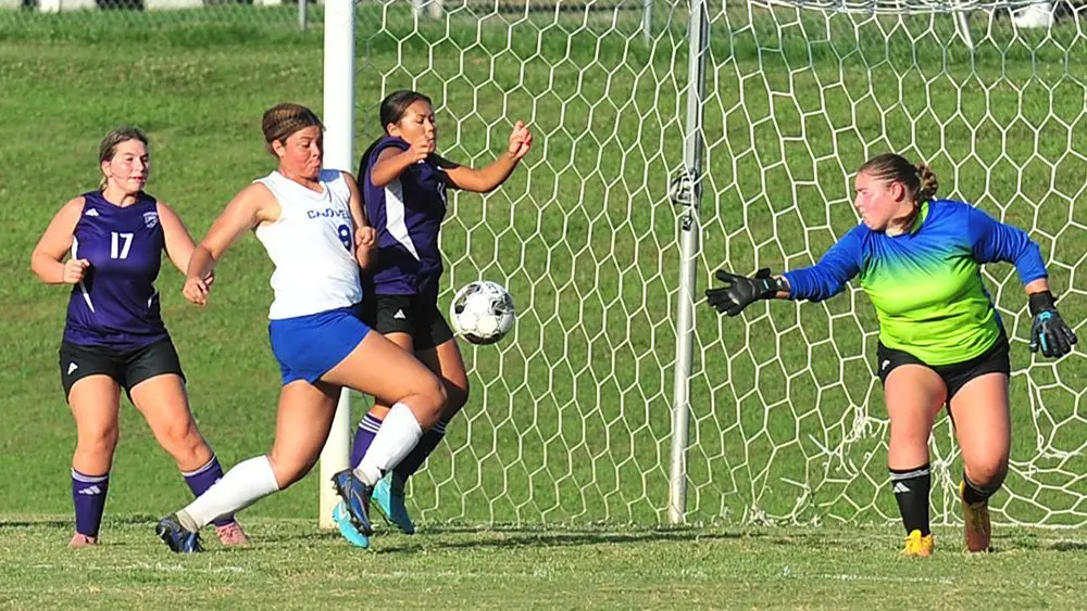 aliya-towns-at-lyon267766