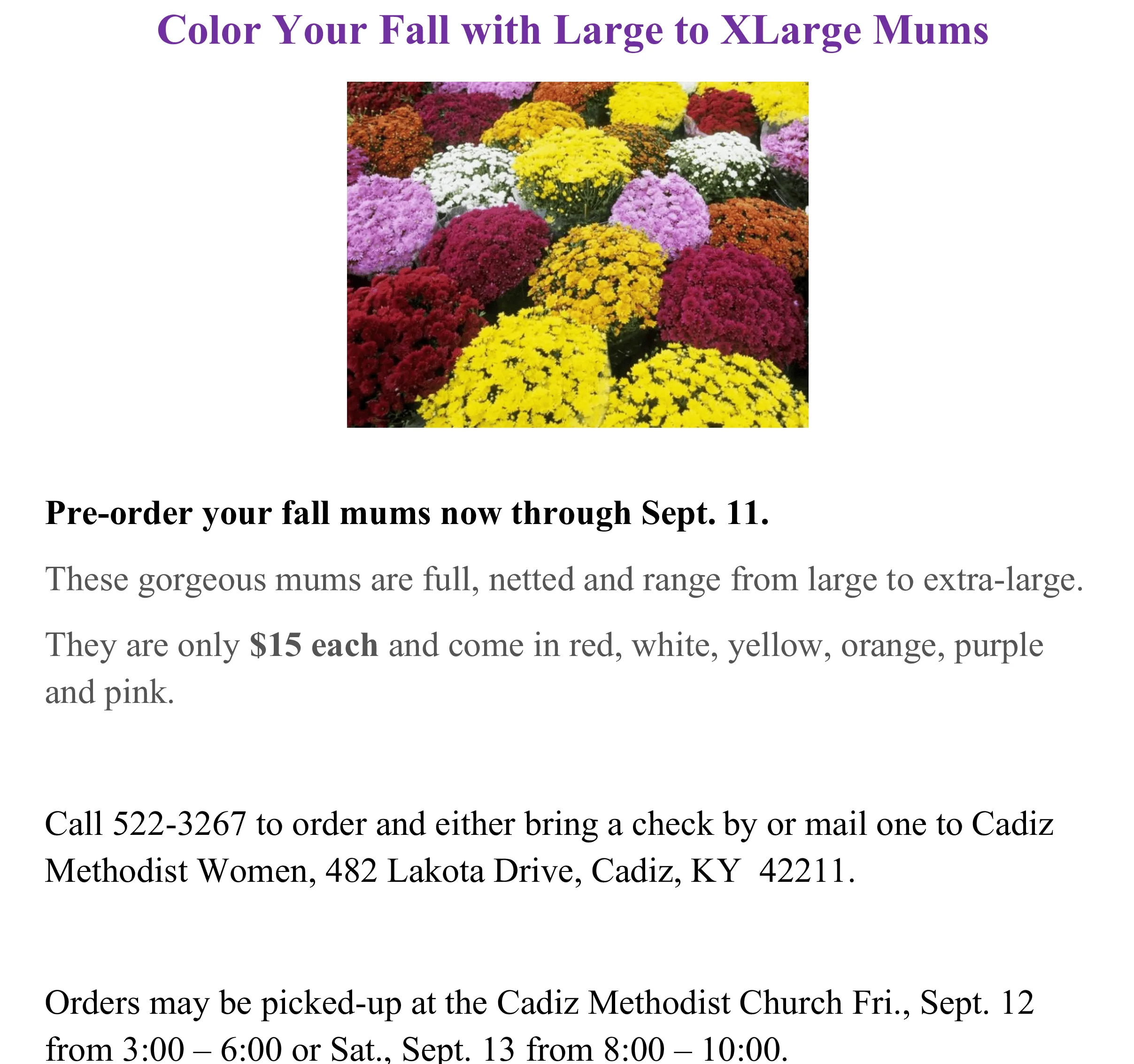 cadiz-methodist-church-mum-sale