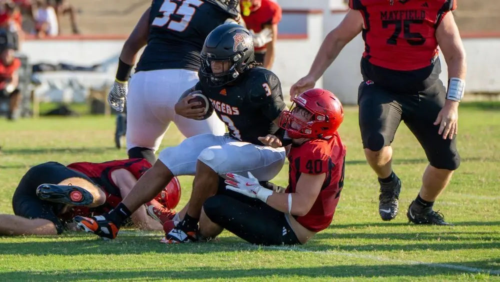 dsc01685-e1755236898796974127