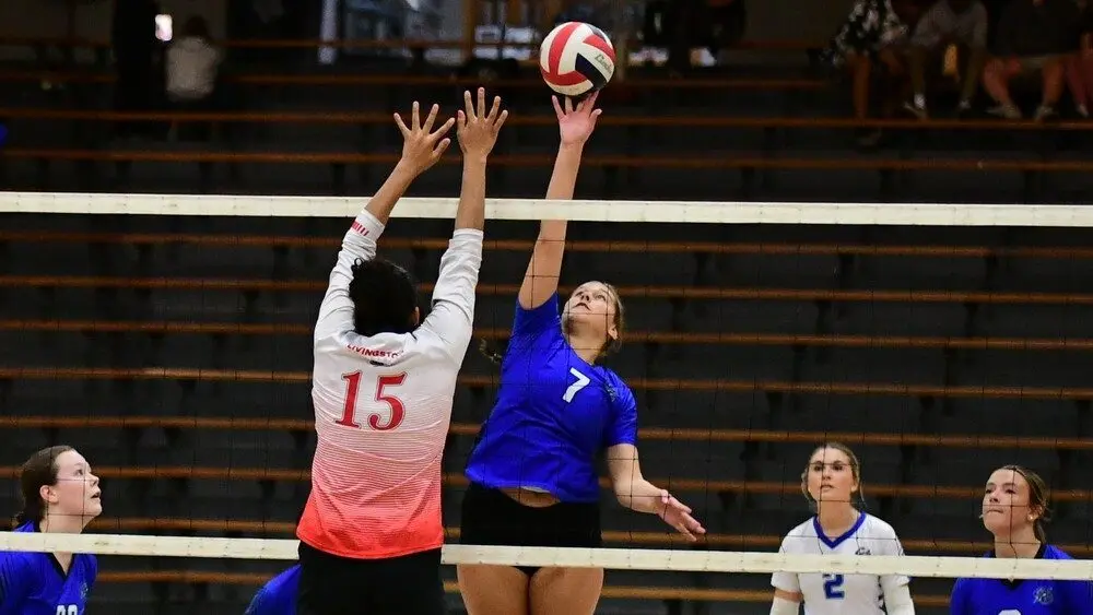 dsc_3971_cropped104520