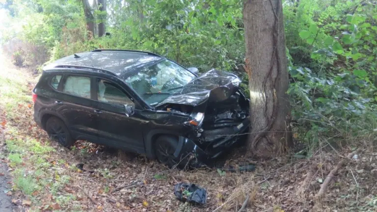 img_9305_copy_1000x563