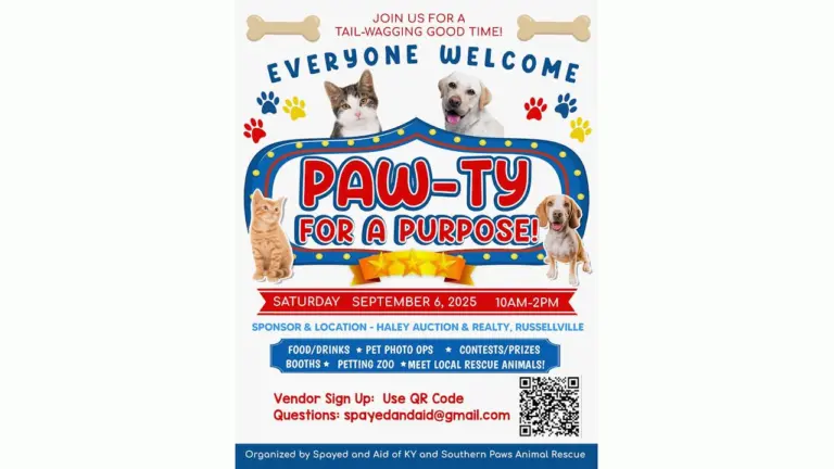 wireready_08-18-2025-02-05-18_a116_20250818020134108-4