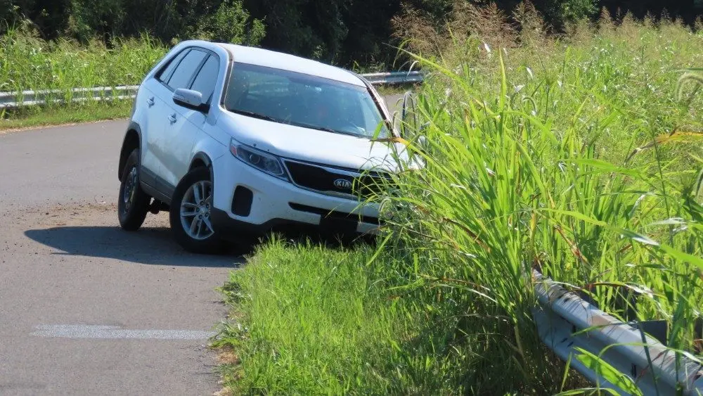 img_9306_copy_1000x563