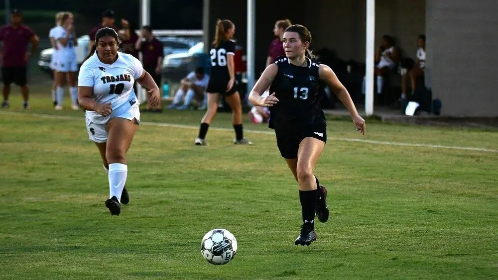 dsc_9702_cropped311990