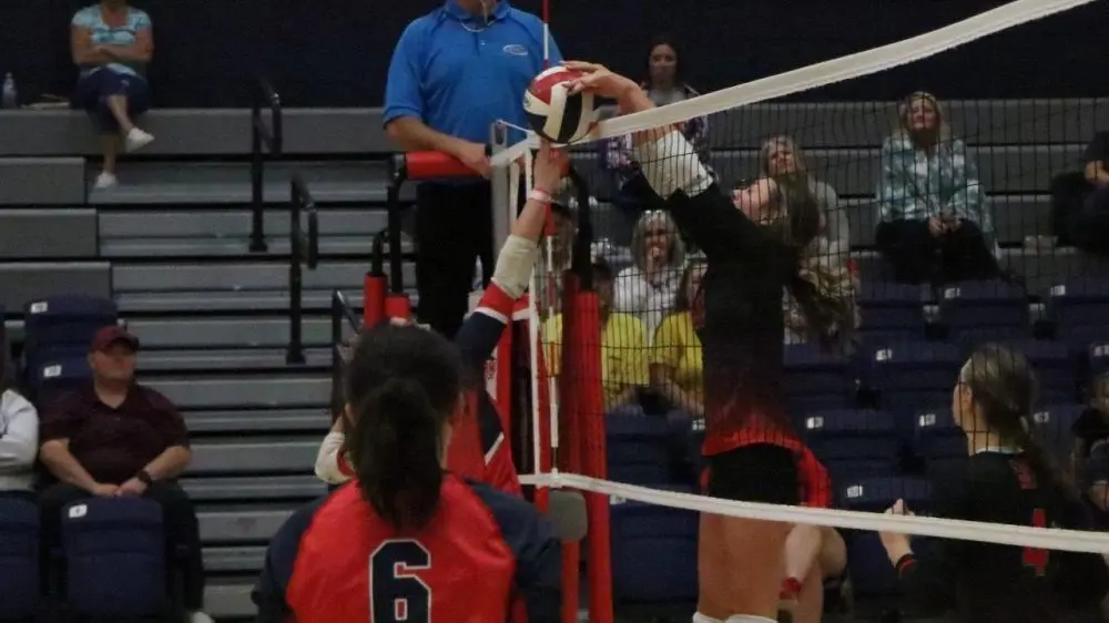 hop-cent-todd-cent-51-e1755834694282663684