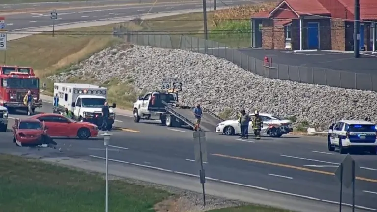 img24954786410852318202