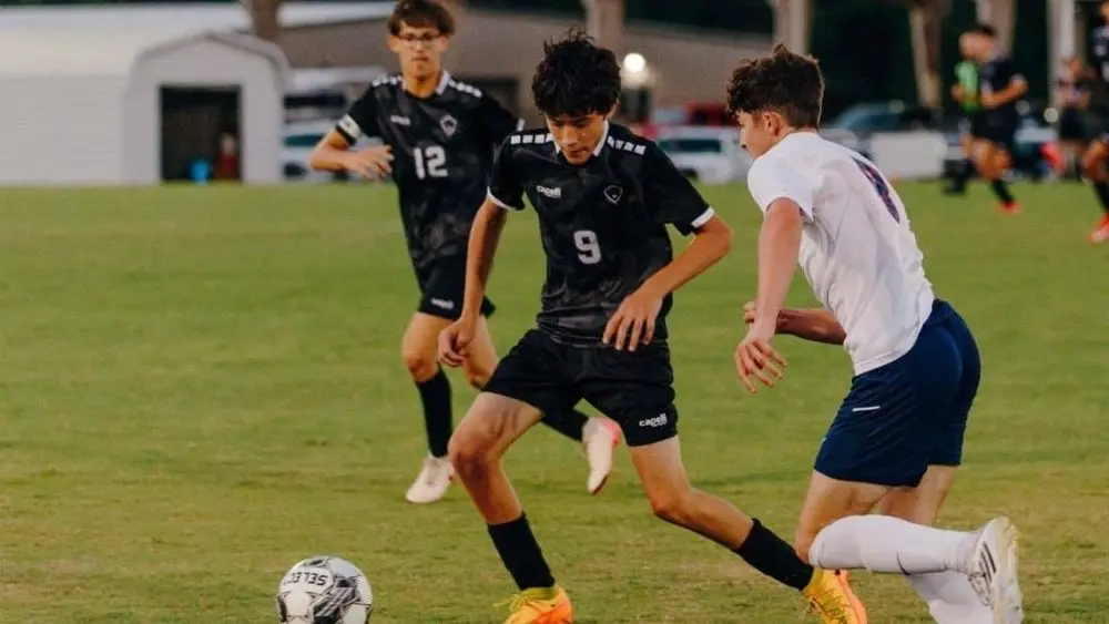 trigg-central-47-e175588566142681813