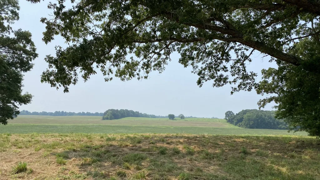 2021-trigg-farm-tour-53-2