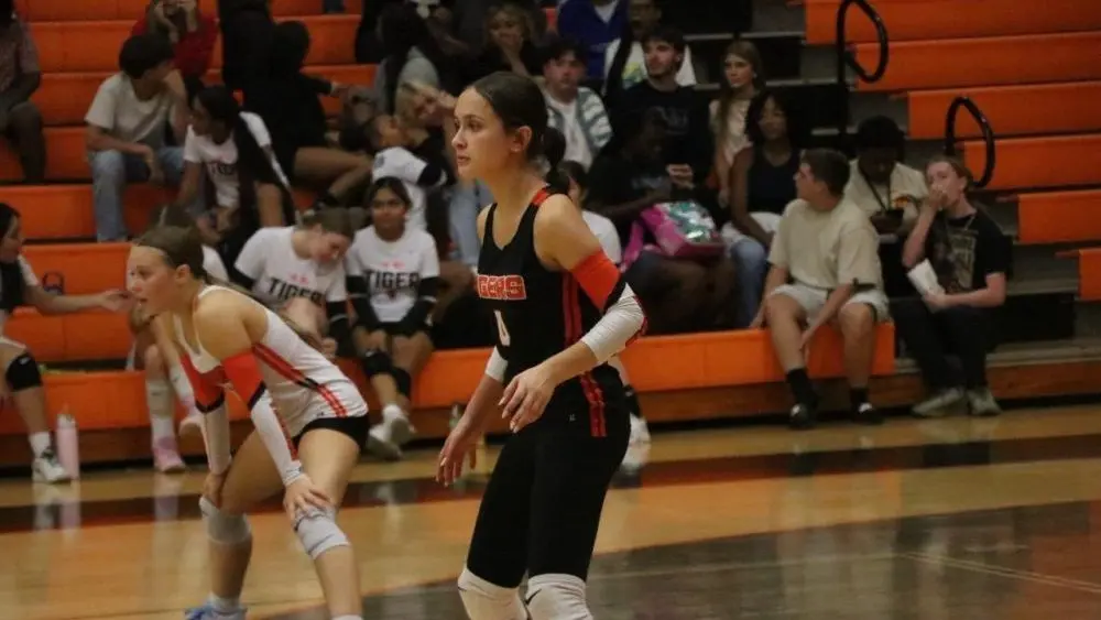 hopkinsville-todd-vb-17-e175647026967471389