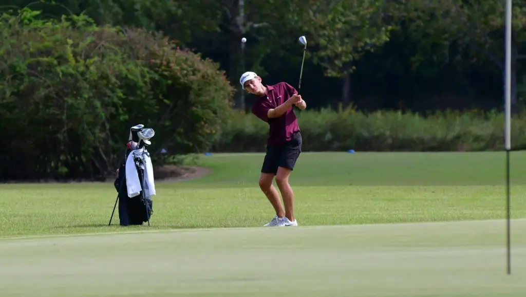 dsc_8930-e1759287136601578550