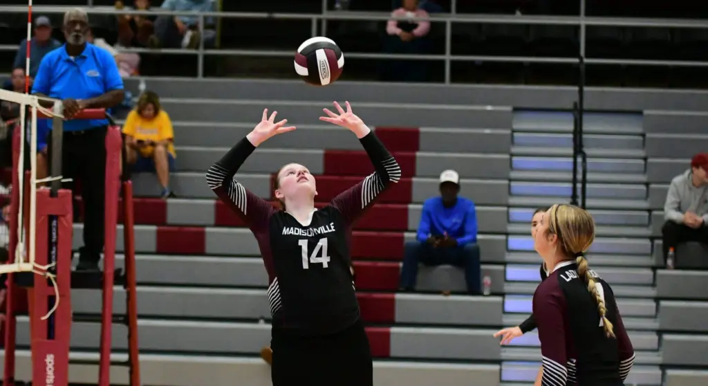 dsc_5294-e1756907241374941079