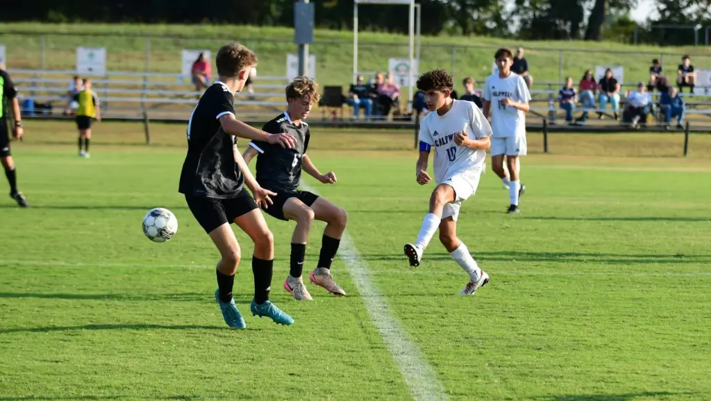 dsc_5446-e1757046016173534895