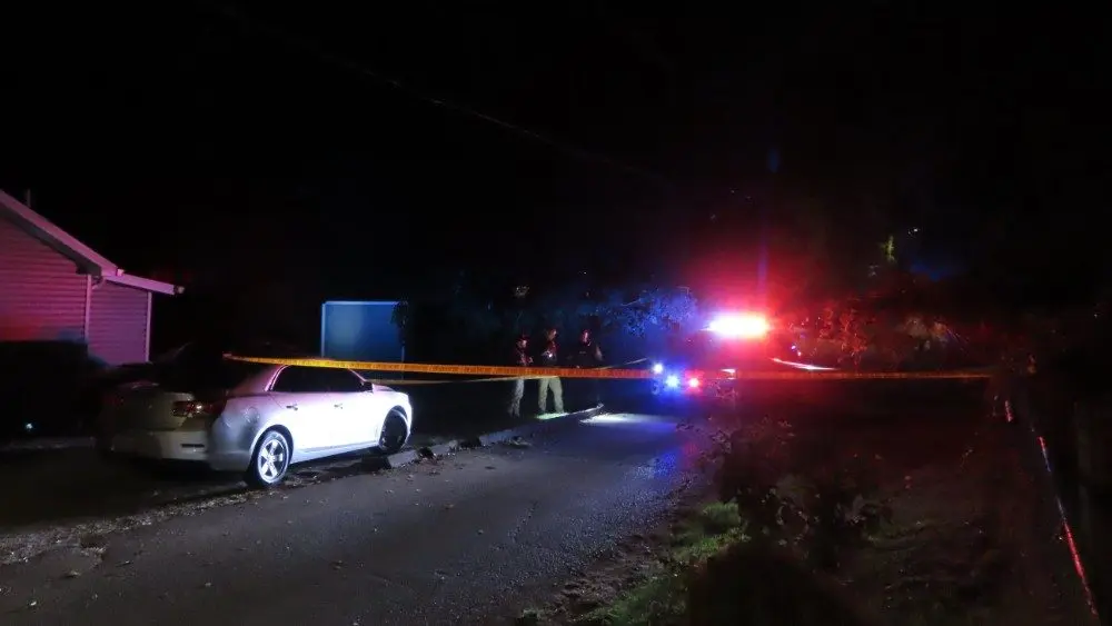 img_9702_copy_1000x563