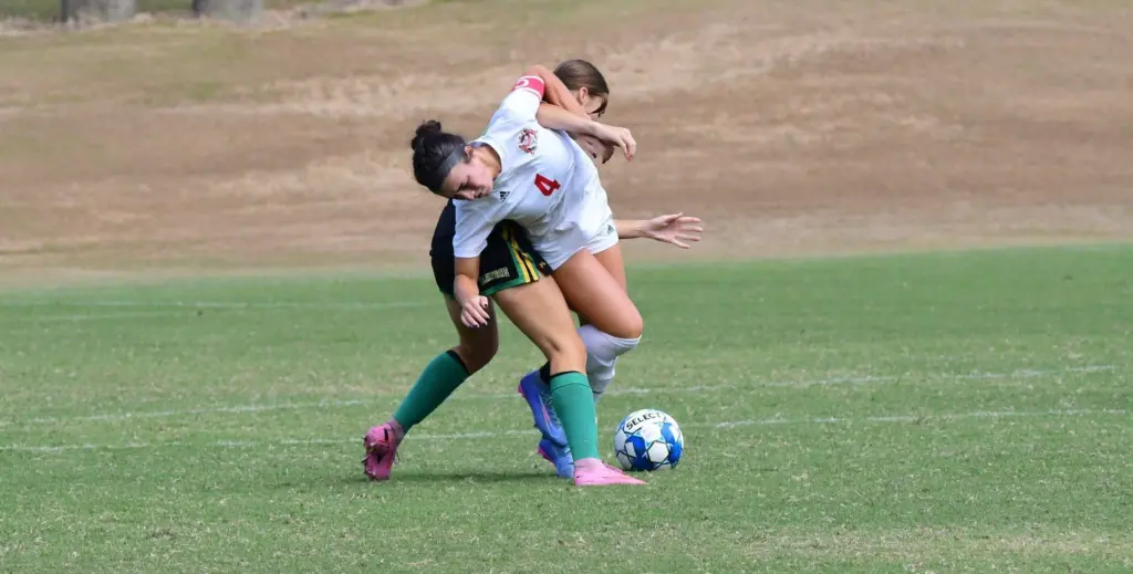 dsc_7270-e1757294745404238572