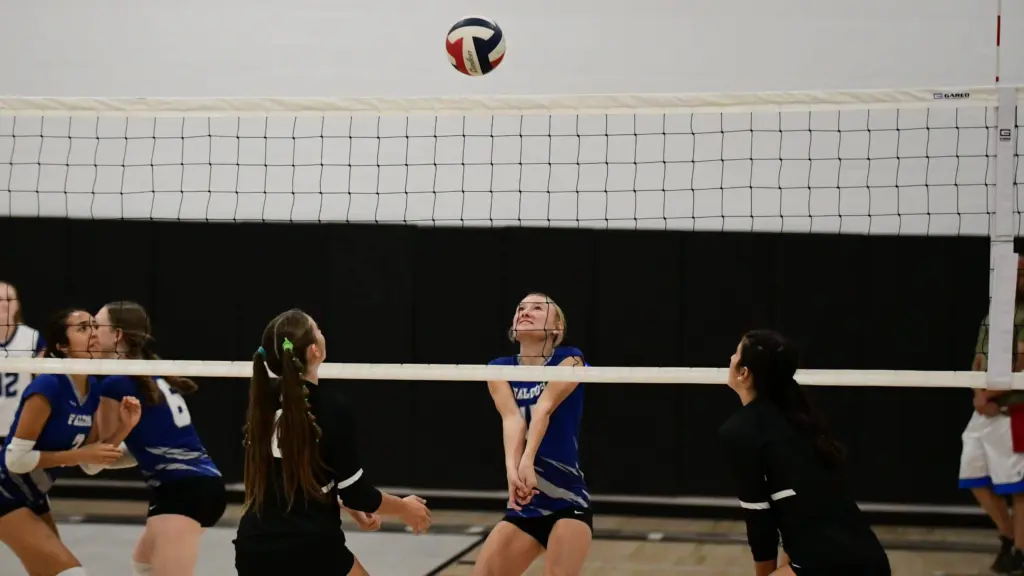 dsc_9590-e1757641484279302752