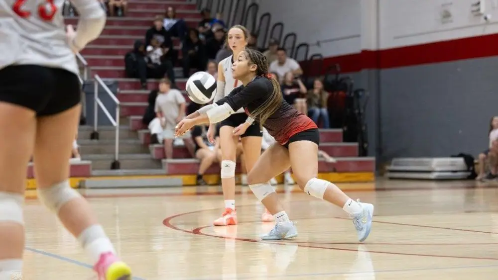 todd-logan-vb-8-e1757996197271647326