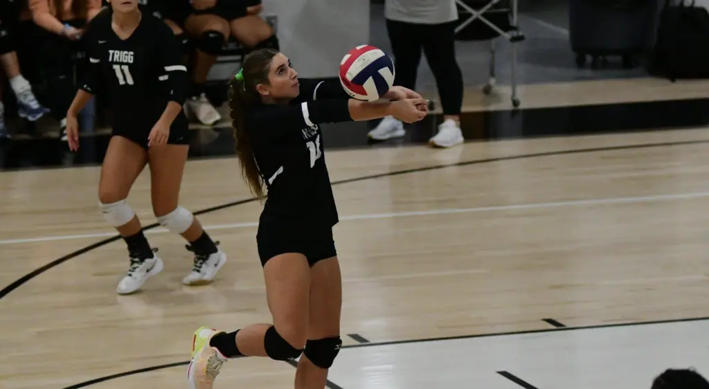 dsc_9330-e1758048161328708900