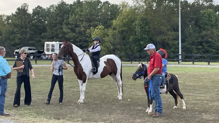 2025-tcrc-ham-fest-show-1