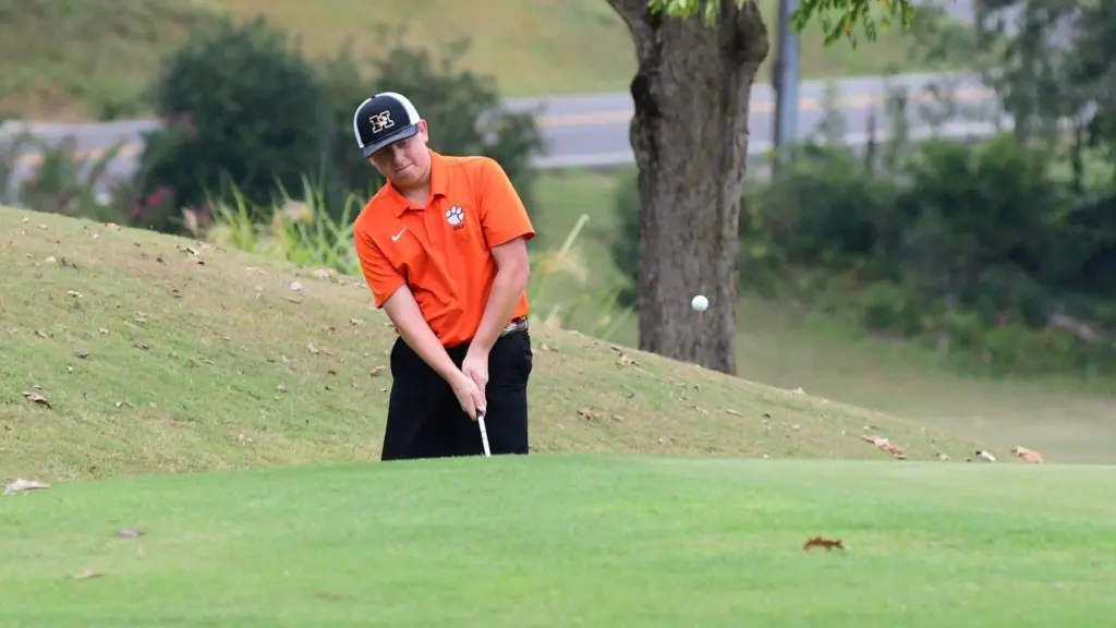 dsc_6087-e1758717627840595369