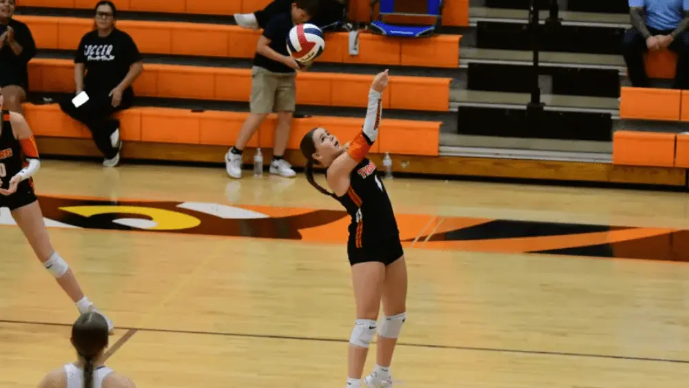 hoptown-vb180734