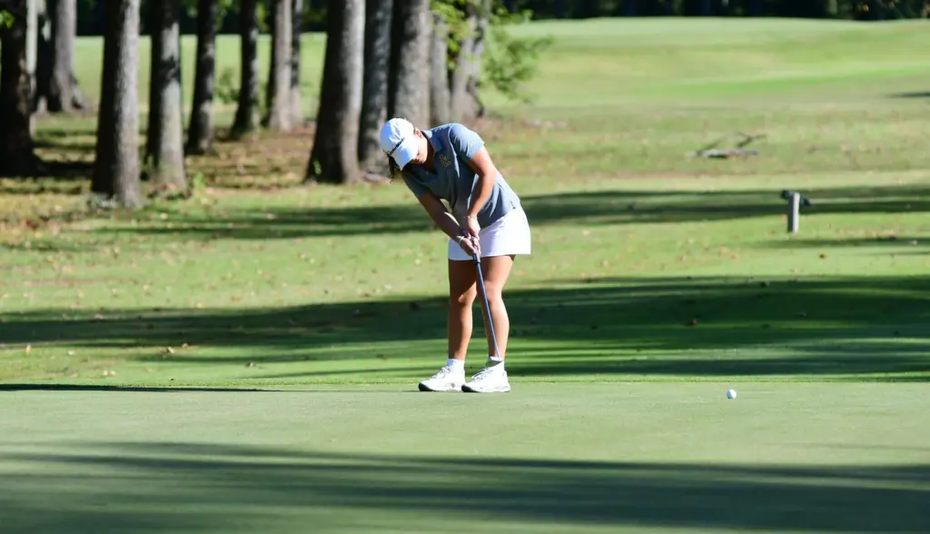 dsc_8178-e1759234857485486407