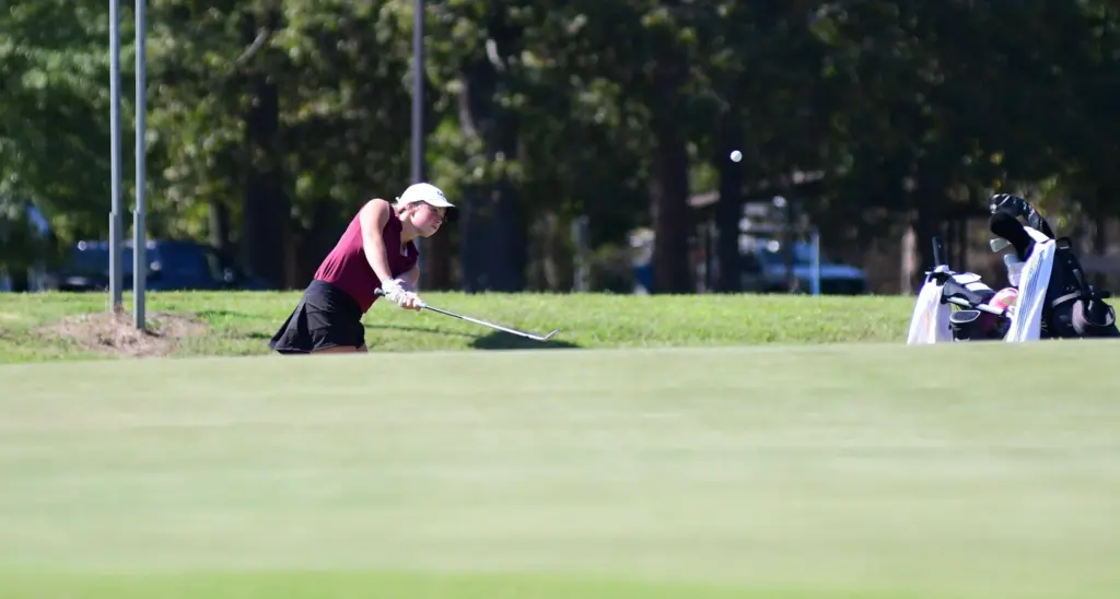 dsc_8439-e1759330609393901982