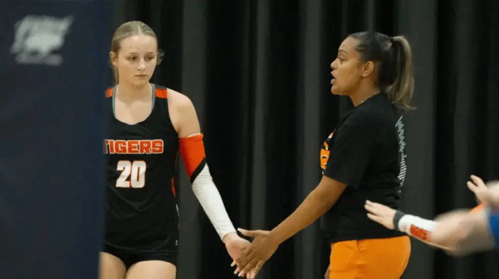 hop-trigg-vb-file794035